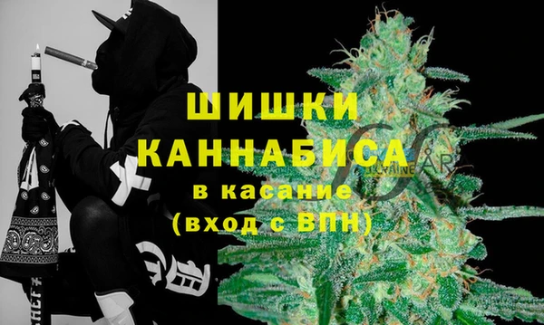 шишки Протвино