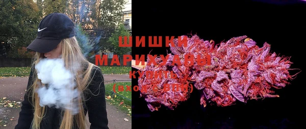 шишки Протвино