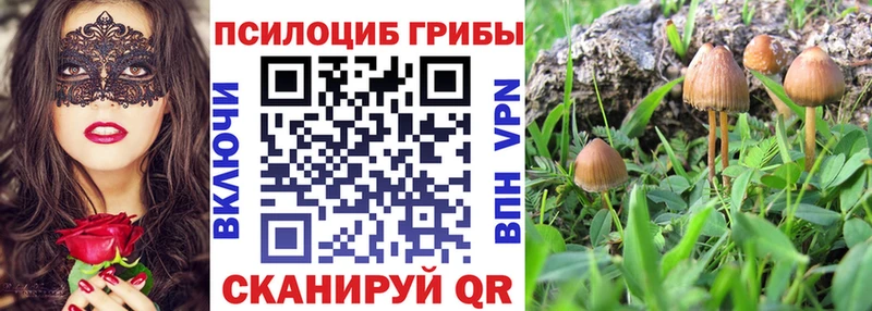 Галлюциногенные грибы ЛСД  Тайга 