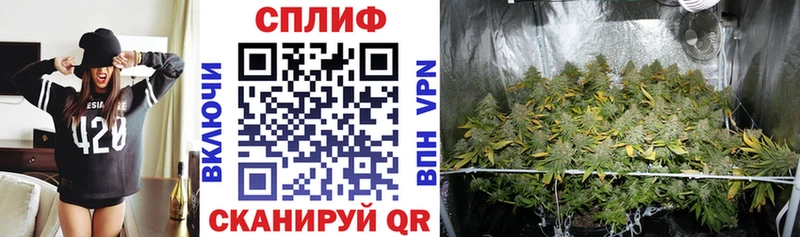 Канабис Bruce Banner  сколько стоит  Тайга 